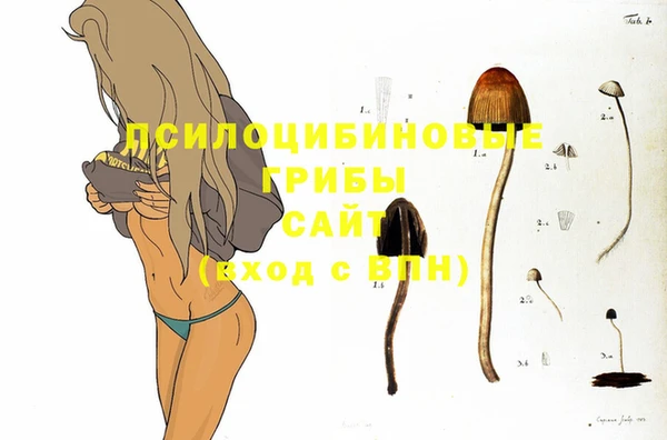 трава Алзамай