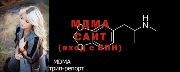СК Алексин