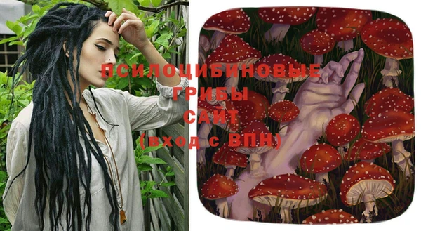 трава Алзамай